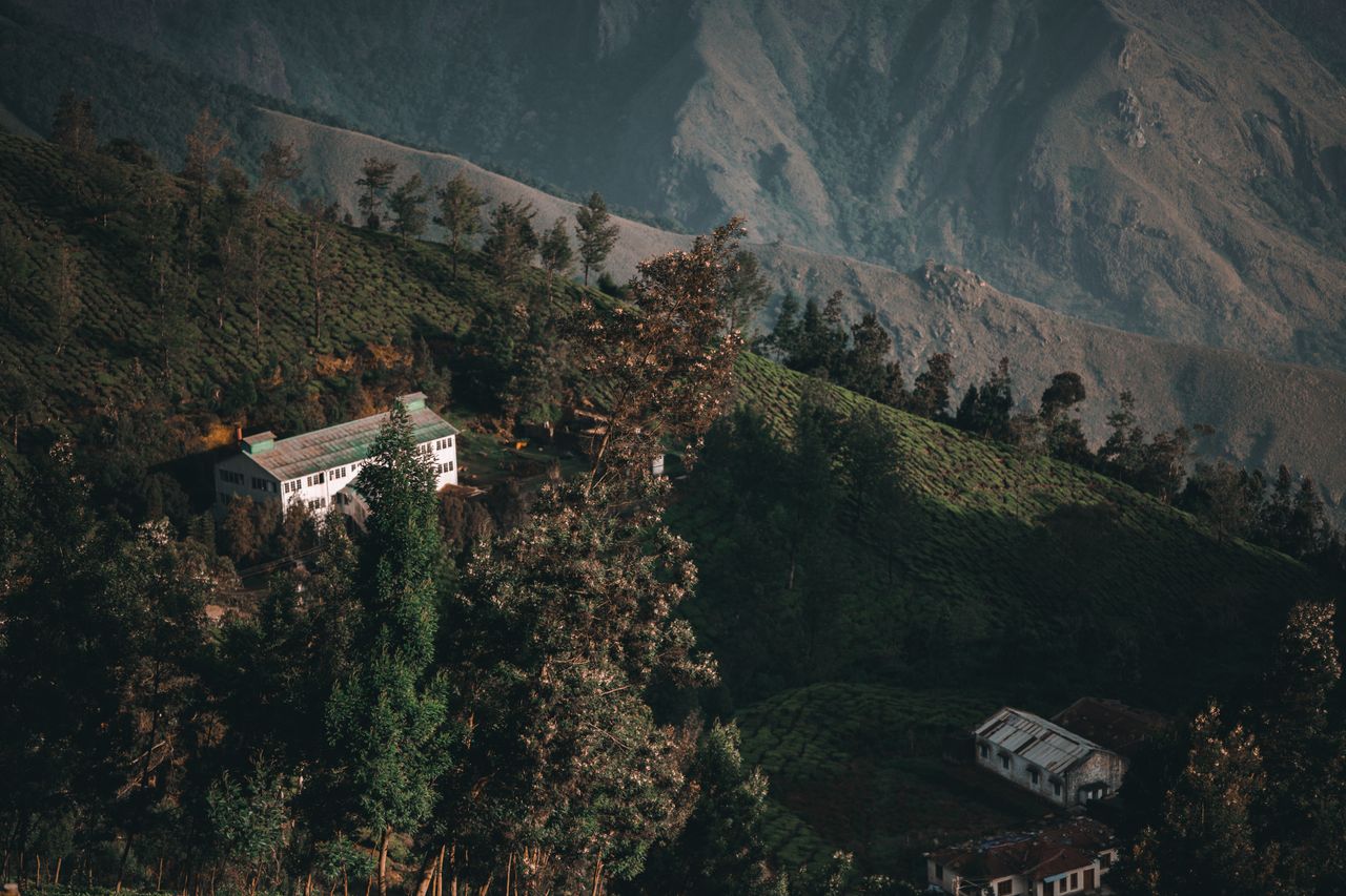 Beautiful aerial view of scenic tea plantations and houses in Munnar, India.
